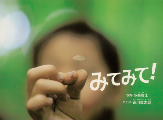 絵本「みてみて！」の表紙（全体把握用）（中サイズ）