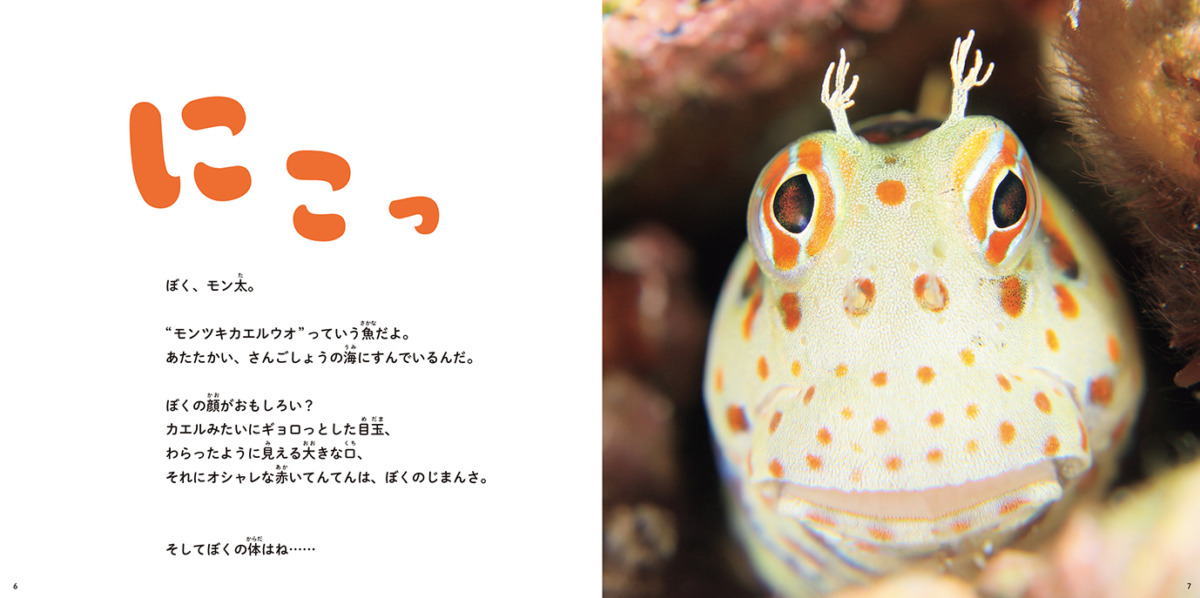 絵本「にこにこモンツキカエルウオ」の中面4
