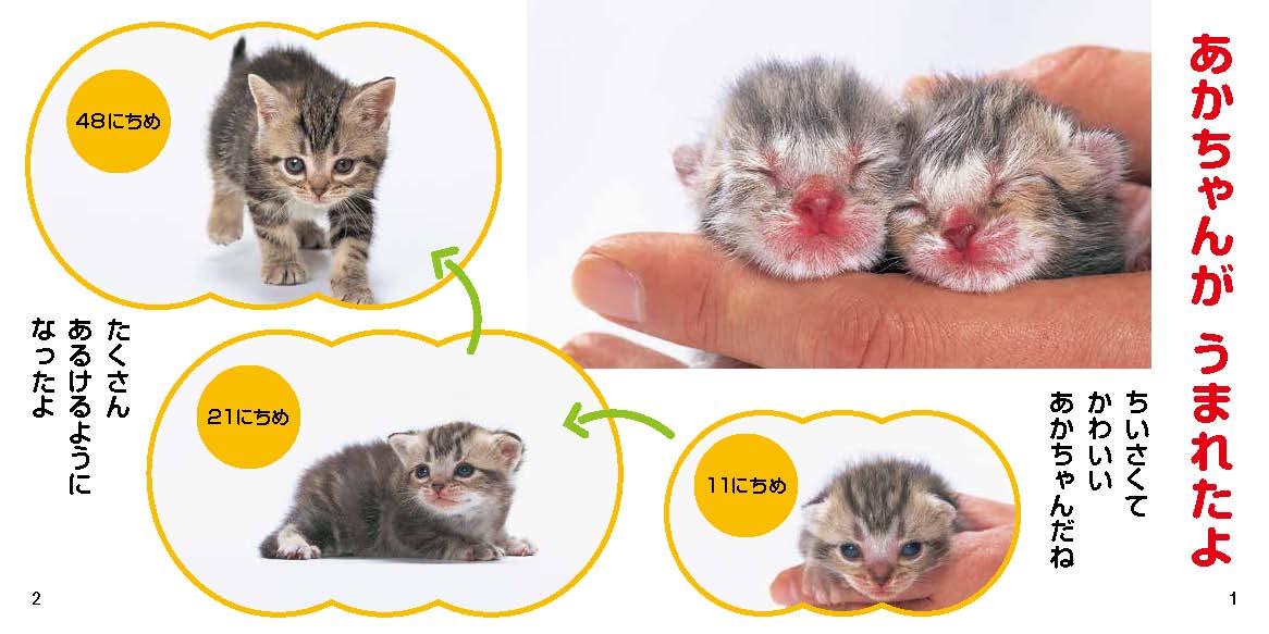 絵本「かわいいこねこ」の中面