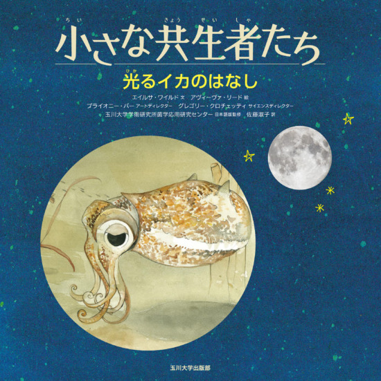 絵本「光るイカのはなし」の表紙（中サイズ）