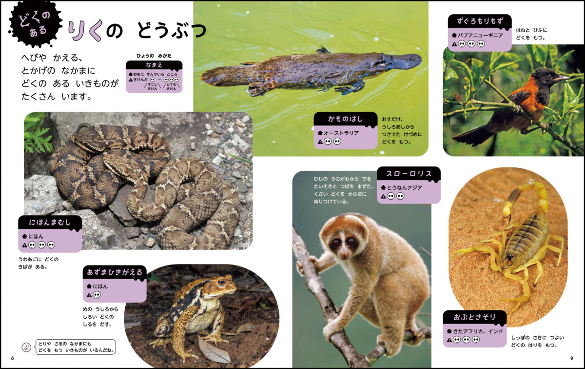 絵本「どくの ある いきもの」の中面2