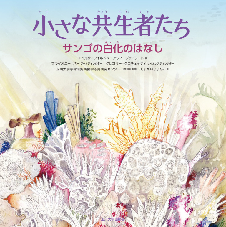 絵本「サンゴの白化のはなし」の表紙（詳細確認用）（中サイズ）