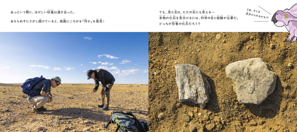 絵本「ほるんだ、恐竜化石！」の中面5