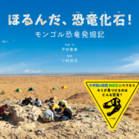 絵本「ほるんだ、恐竜化石！」の表紙（サムネイル）