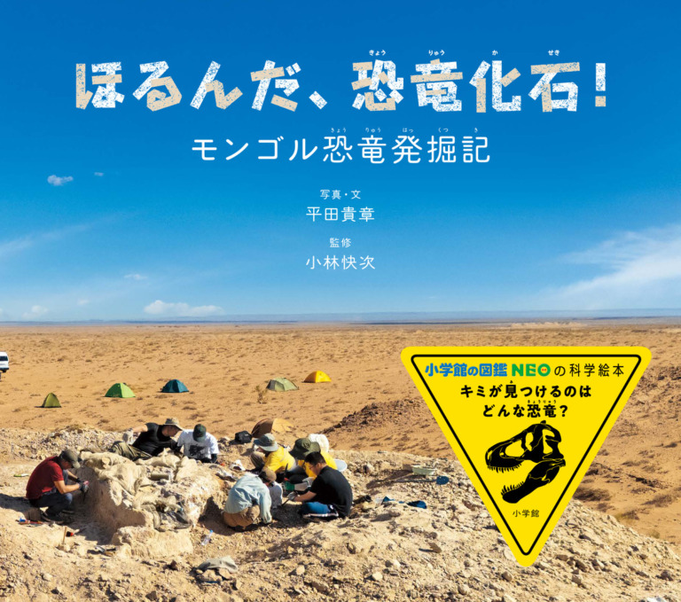 絵本「ほるんだ、恐竜化石！」の表紙（詳細確認用）（中サイズ）