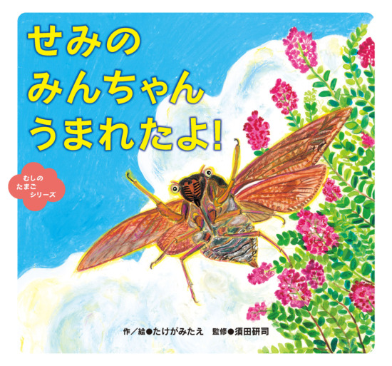 絵本「せみの みんちゃん うまれたよ！」の表紙（中サイズ）