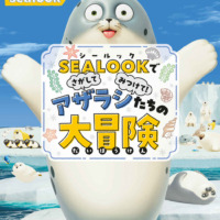 絵本「SEALOOKでさがしてみつけて！ アザラシたちの大冒険」の表紙（サムネイル）