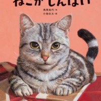 絵本「ねこがしんぱい」の表紙（サムネイル）