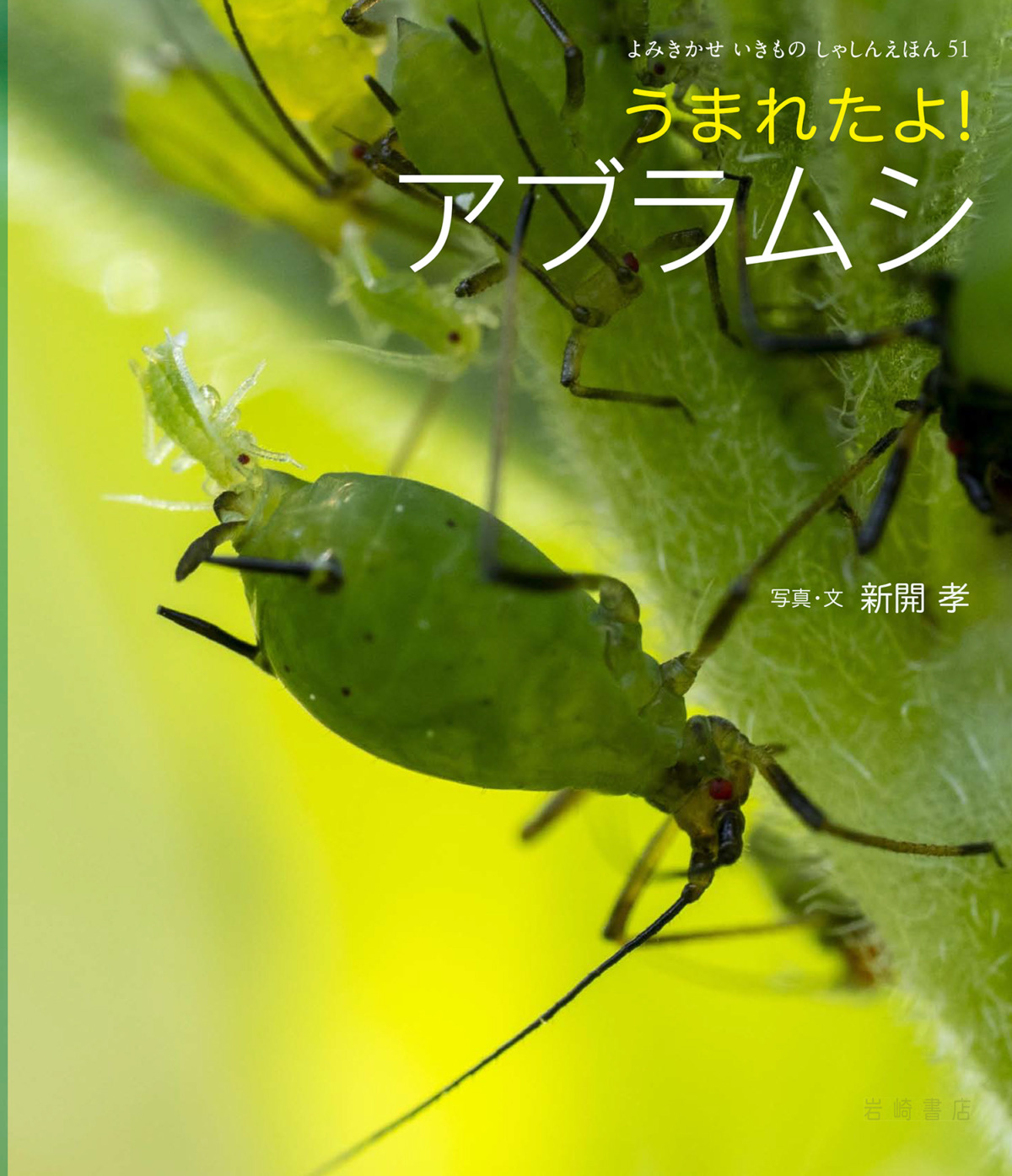 絵本「うまれたよ！ アブラムシ」の表紙（大サイズ）