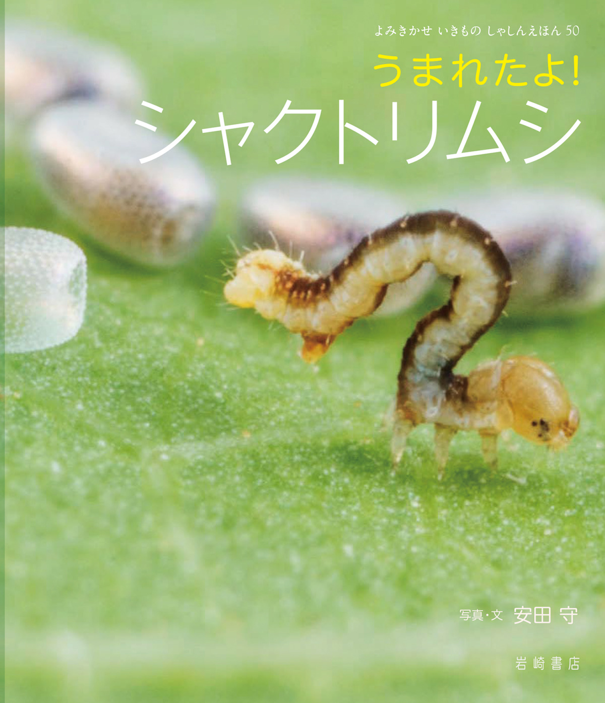 絵本「うまれたよ！ シャクトリムシ」の表紙（大サイズ）