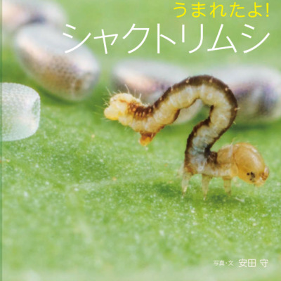 絵本「うまれたよ！ シャクトリムシ」の表紙（サムネイル）