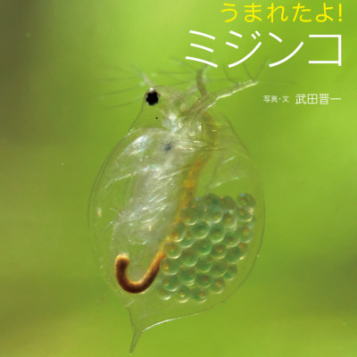 絵本「うまれたよ！ ミジンコ」の表紙（サムネイル）