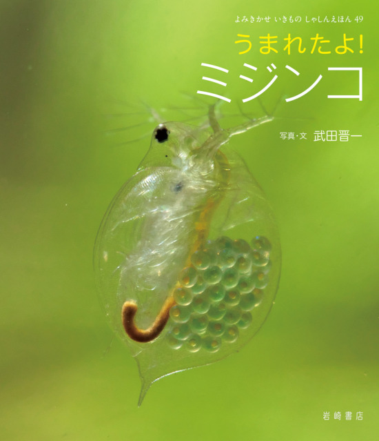 絵本「うまれたよ！ ミジンコ」の表紙（全体把握用）（中サイズ）