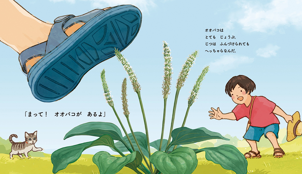 絵本「なつ み〜つけた！」の中面