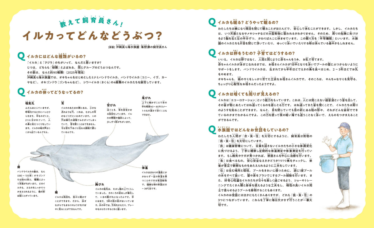 絵本「ちゅらうみのオキちゃん 5000万人を笑顔にしたせかいいちのイルカ」の中面5