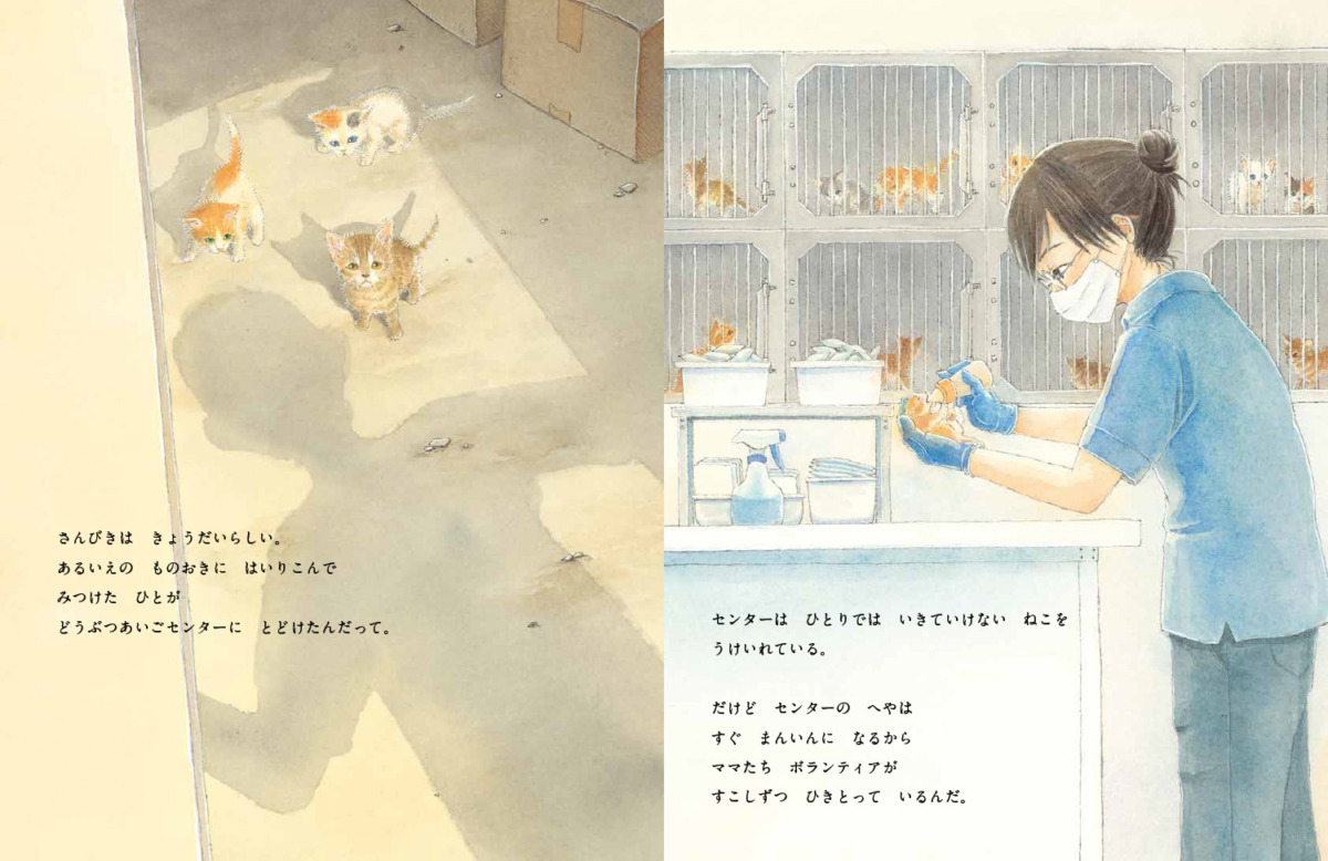 絵本「ほごねこそつぎょうしき」の中面2