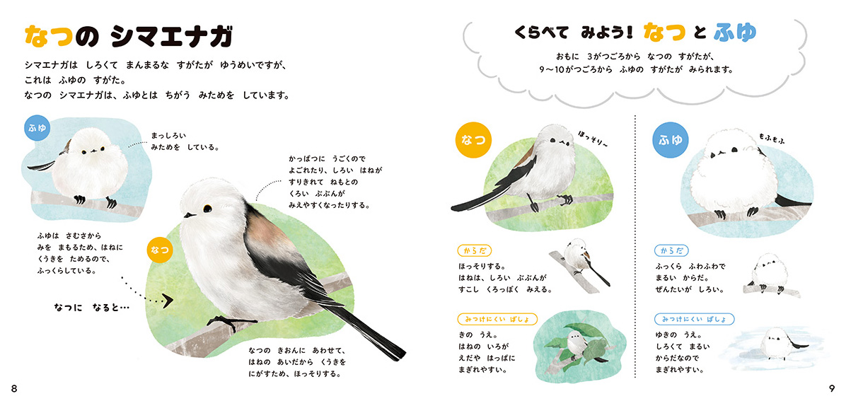 絵本「シマエナガのずかん」の中面2