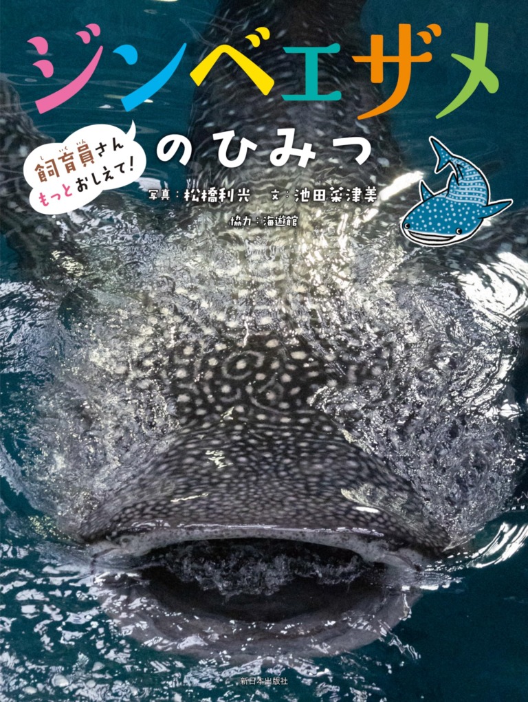 絵本「飼育員さんもっとおしえて！ ジンベエザメのひみつ」の表紙（詳細確認用）（中サイズ）