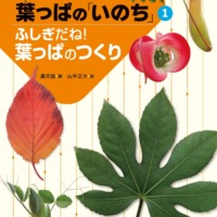 絵本「ふしぎだね！ 葉っぱのつくり」の表紙（サムネイル）