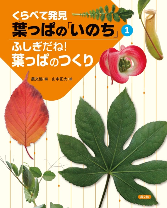 絵本「ふしぎだね！ 葉っぱのつくり」の表紙（全体把握用）（中サイズ）