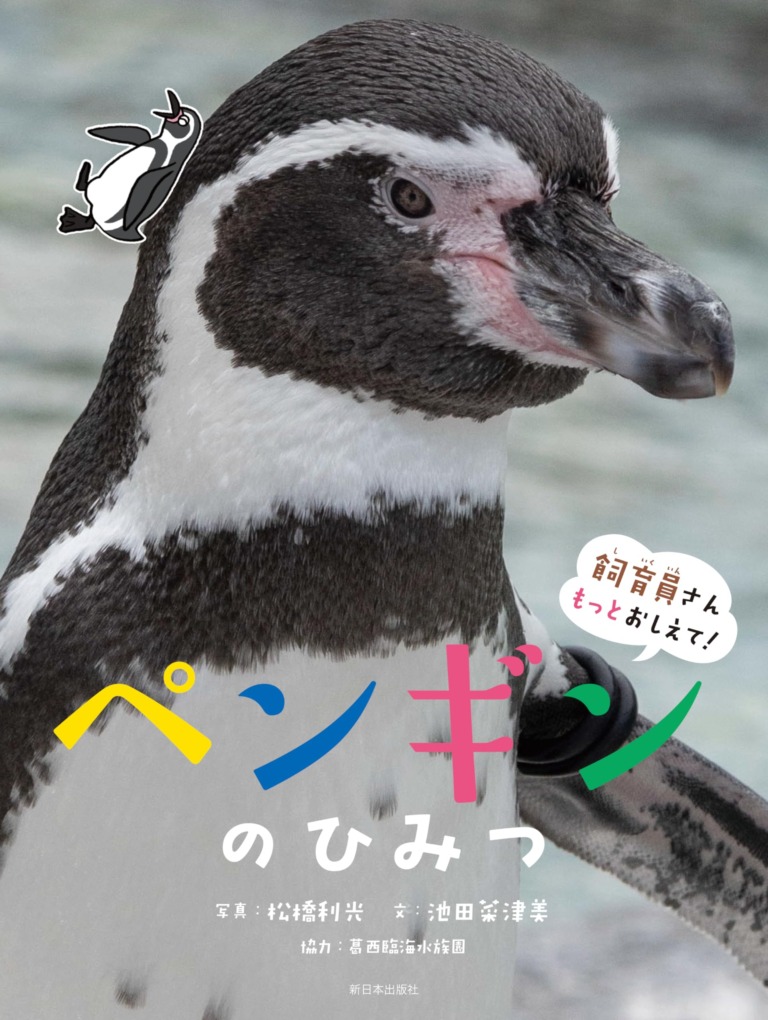 絵本「飼育員さんもっとおしえて！ ペンギンのひみつ」の表紙（詳細確認用）（中サイズ）