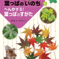 絵本「へんかする！ 葉っぱのすがた」の表紙（サムネイル）