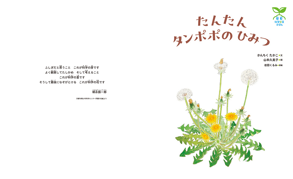 絵本「たんたん タンポポの ひみつ」の中面