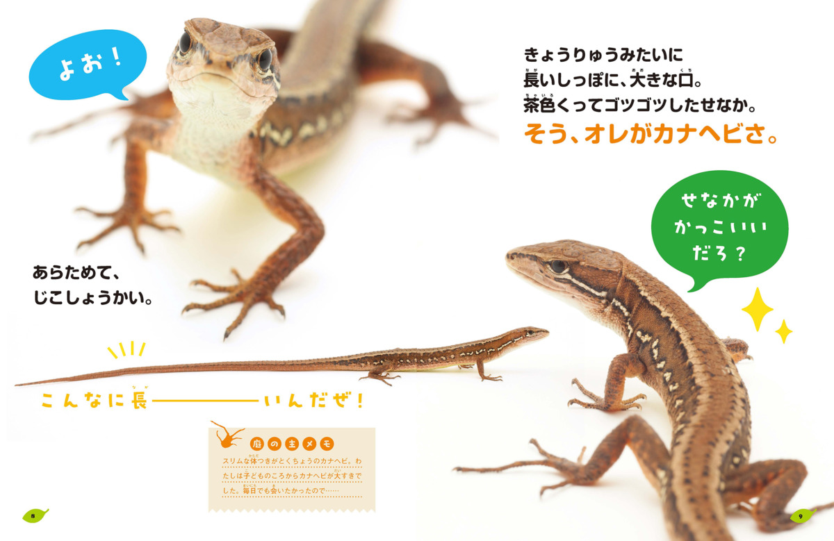 絵本「オレはカナヘビ オレの庭」の中面
