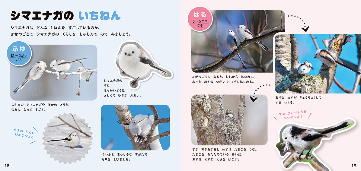 絵本「シマエナガのずかん」の中面3