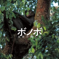絵本「ボノボ 最後の類人猿」の表紙（サムネイル）