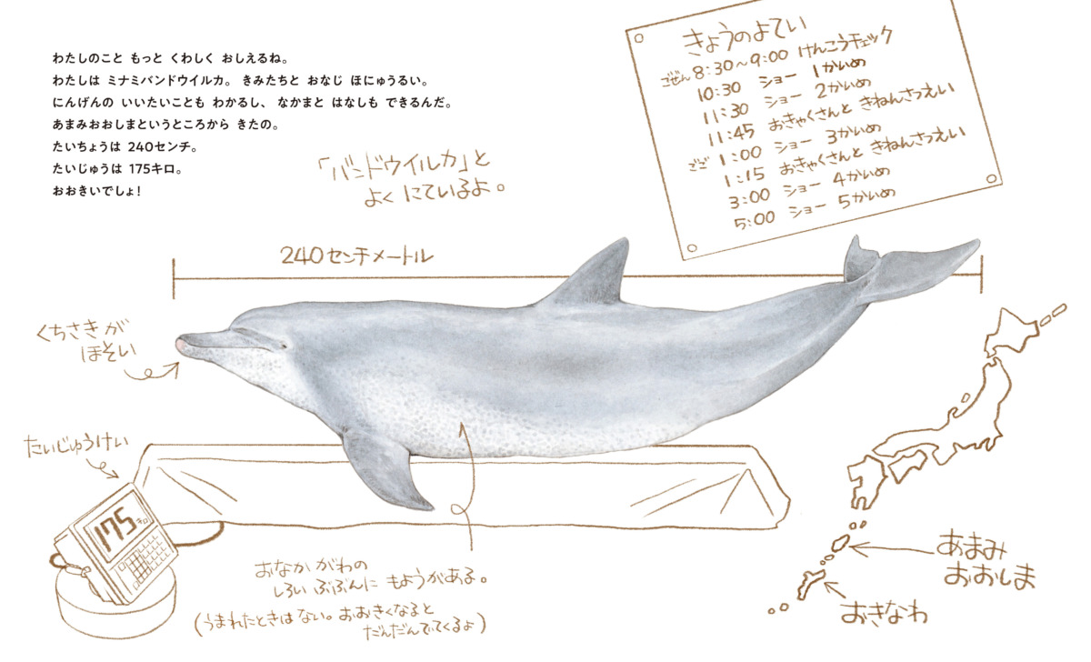絵本「ちゅらうみのオキちゃん 5000万人を笑顔にしたせかいいちのイルカ」の中面3