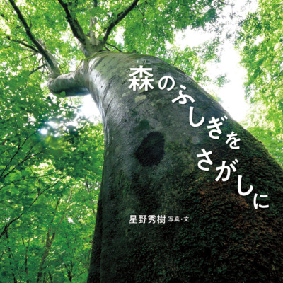 絵本「森のふしぎをさがしに」の表紙（サムネイル）