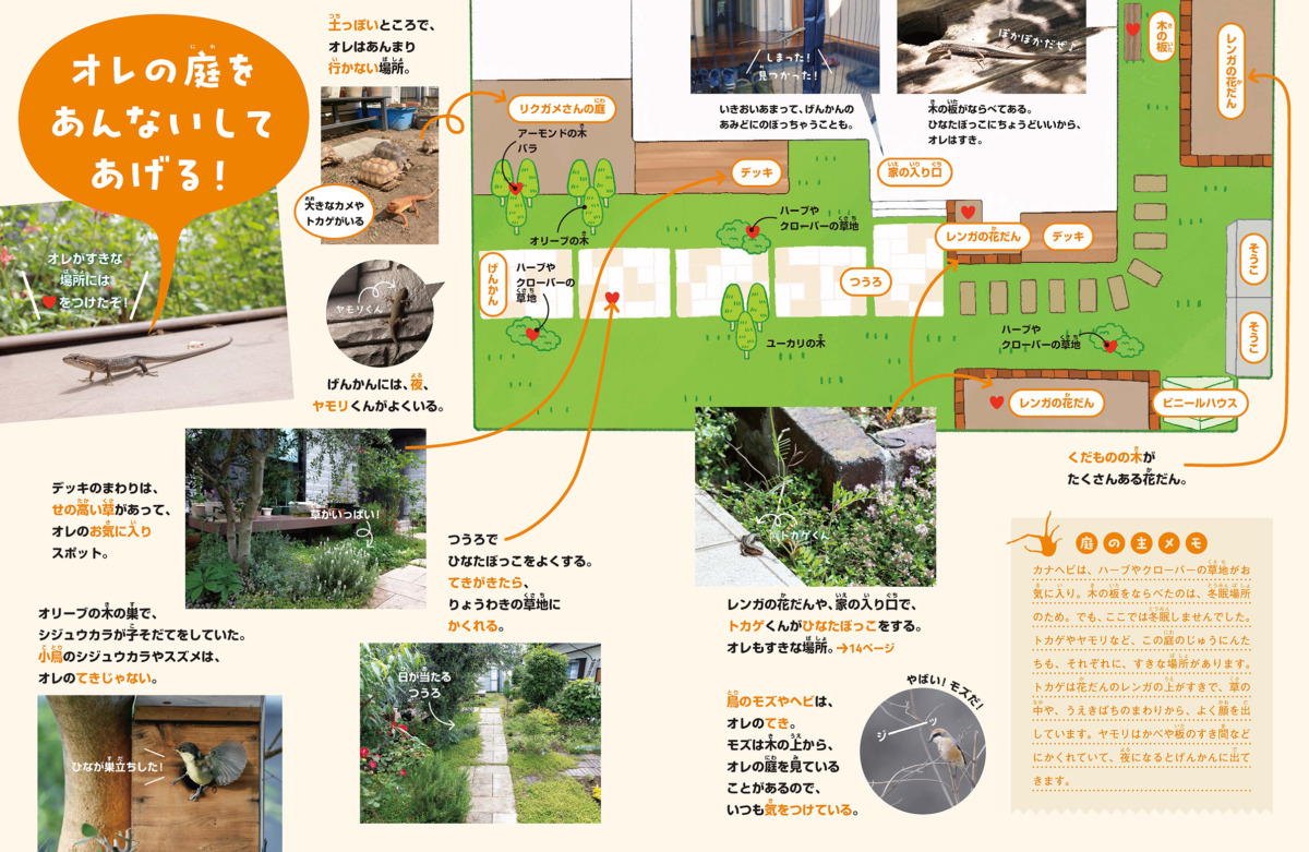 絵本「オレはカナヘビ オレの庭」の中面2
