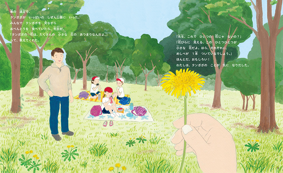絵本「たんたん タンポポの ひみつ」の中面2