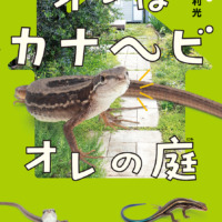 絵本「オレはカナヘビ オレの庭」の表紙（サムネイル）