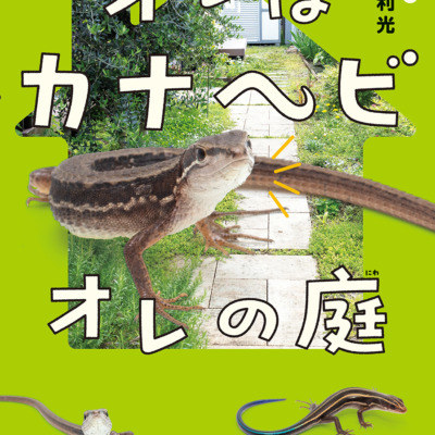 絵本「オレはカナヘビ オレの庭」の表紙（サムネイル）