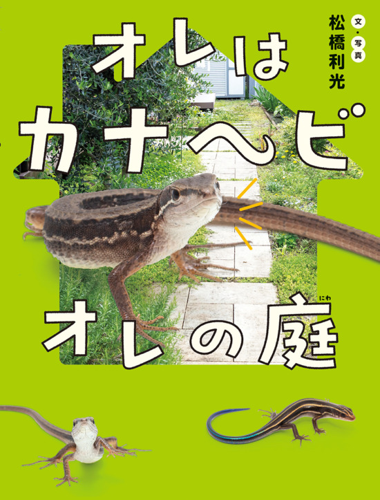 絵本「オレはカナヘビ オレの庭」の表紙（全体把握用）（中サイズ）