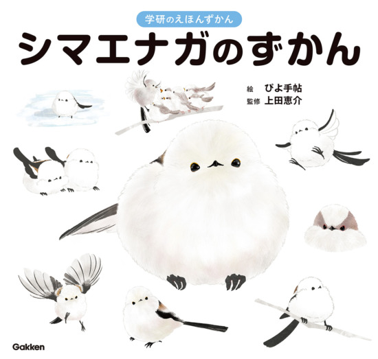 絵本「シマエナガのずかん」の表紙（全体把握用）（中サイズ）
