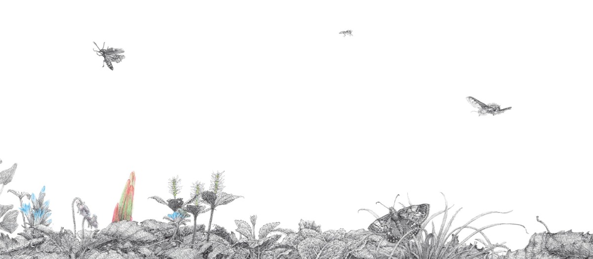絵本「やまゆり」の中面