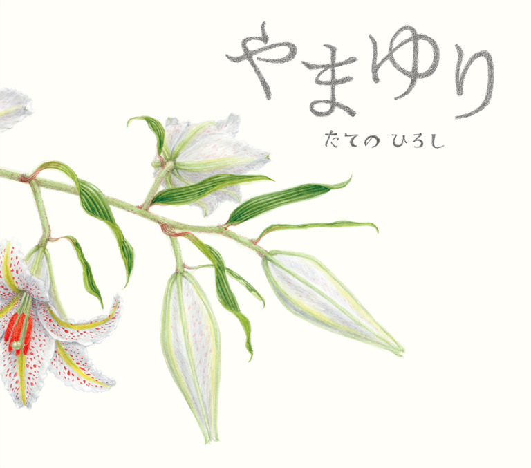 絵本「やまゆり」の表紙（詳細確認用）（中サイズ）