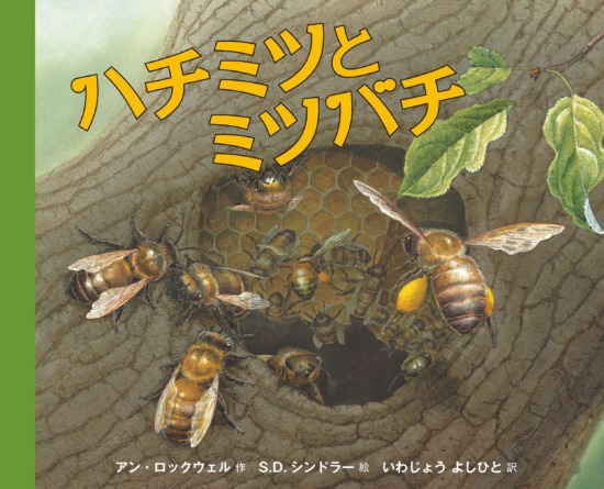 絵本「ハチミツとミツバチ」の表紙（全体把握用）（中サイズ）