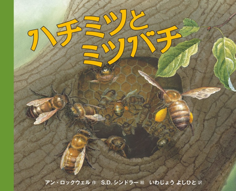 絵本「ハチミツとミツバチ」の表紙(詳細確認用)(中サイズ)
