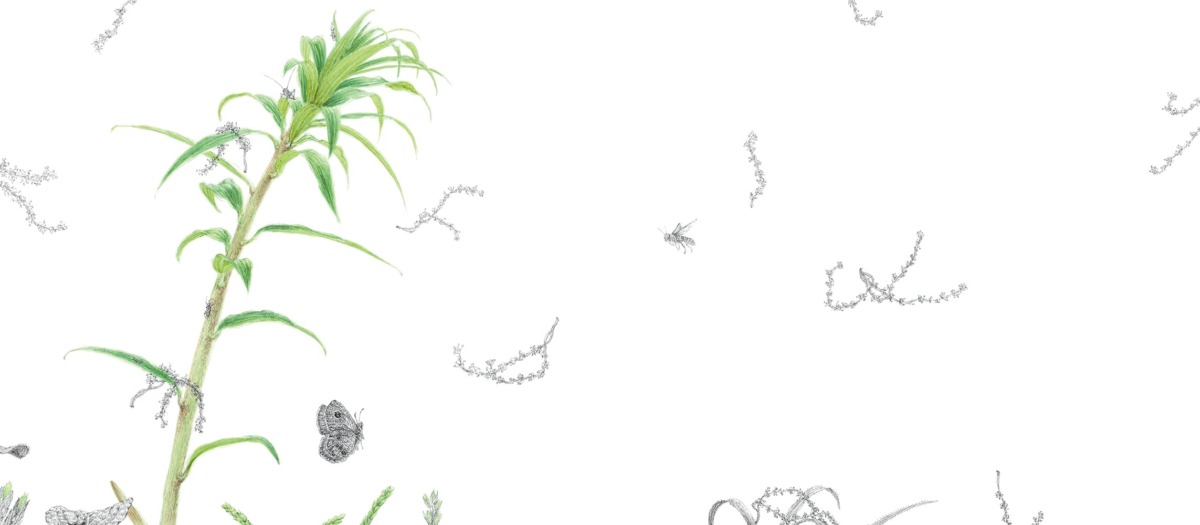 絵本「やまゆり」の中面3