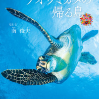絵本「小笠原諸島・父島　アオウミガメの帰る島」の表紙（サムネイル）