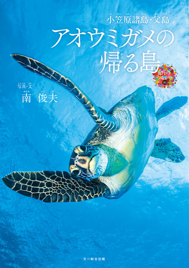 絵本「小笠原諸島・父島 アオウミガメの帰る島」の表紙(詳細確認用)(中サイズ)