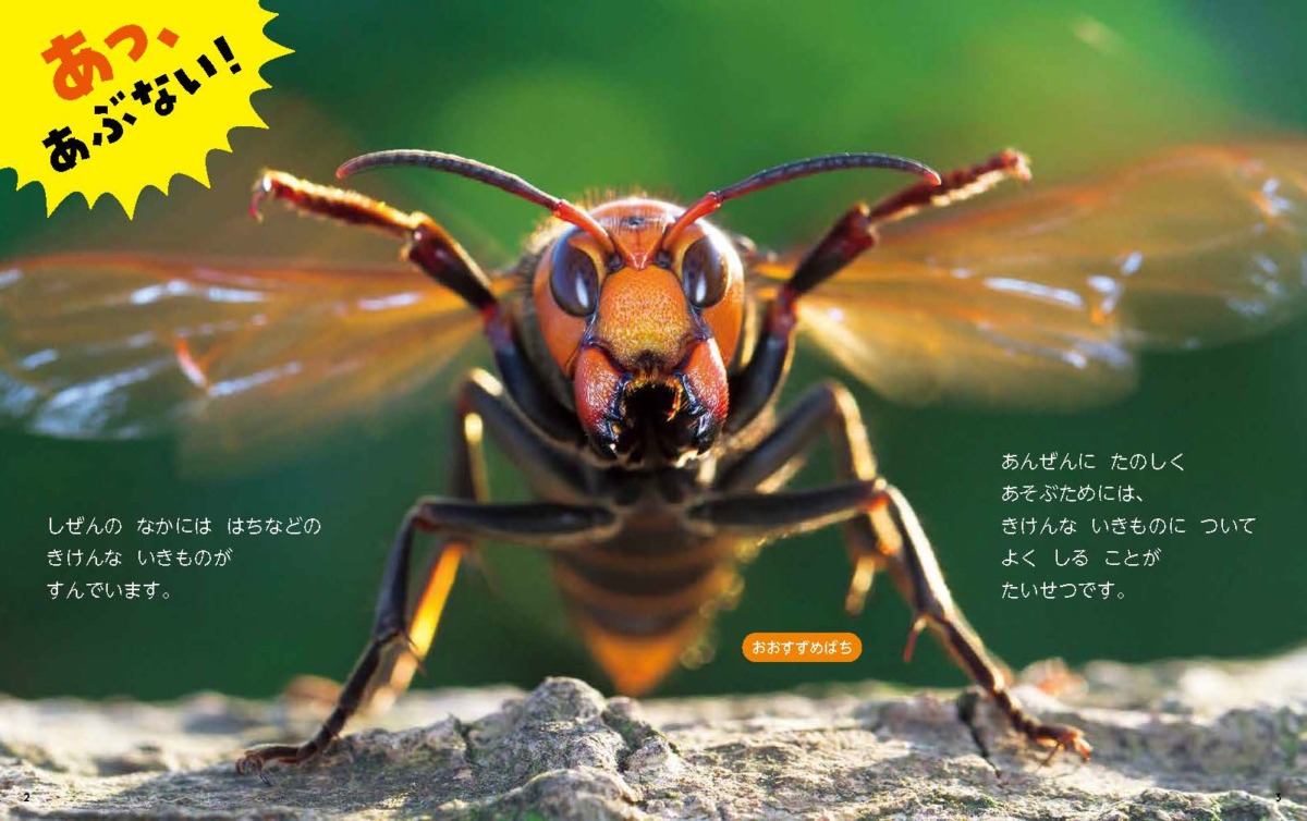絵本「きけんな いきもの」の中面