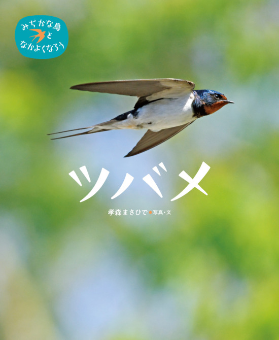 絵本「ツバメ」の表紙（全体把握用）（中サイズ）